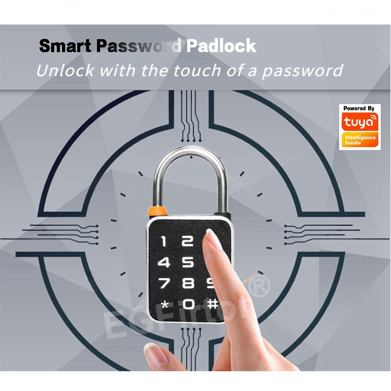 Tuya Bluetooth App Wachtwoordc - Smart Home Lock recensie en prijs