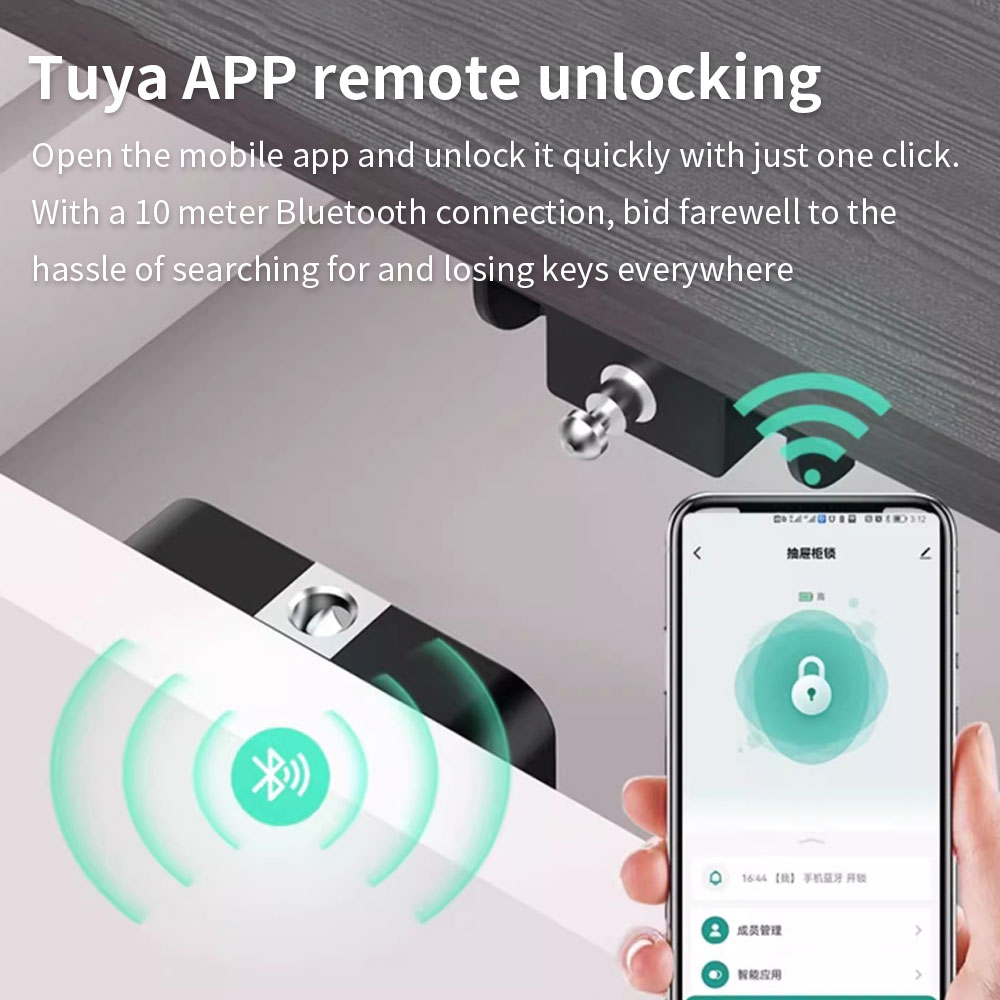 Tuya Verborgen kastslot RFID-l - Smart Home Lock recensie en prijs